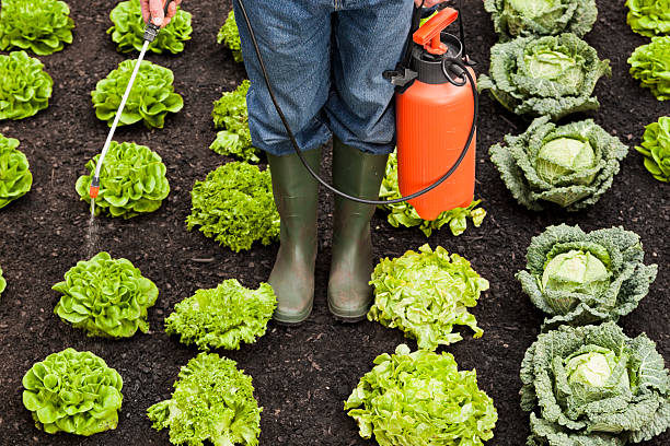 Carné de fitosanitarios